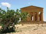 35 Agrigent Tempio di Hercule